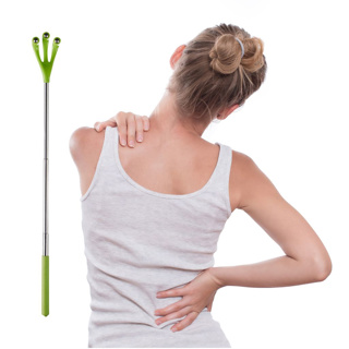 50722270_4 ابزار خارش پشت سبز با دسته تلسکوپی WestMark